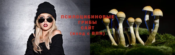 дмт Алексин