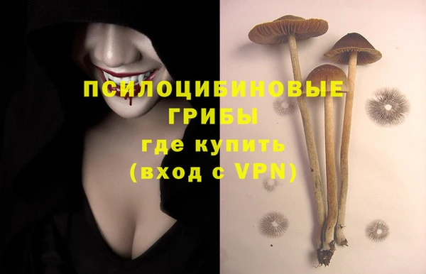 дмт Алексин