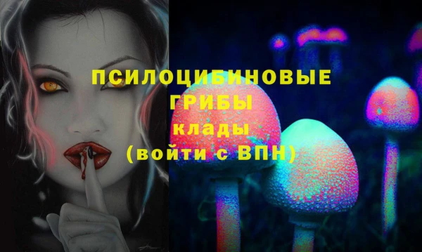 дмт Алексин